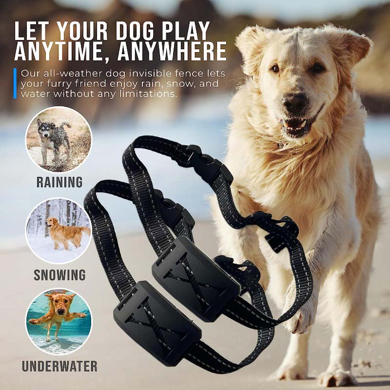 High Quality Dog Fence Invisible Wireless Dog Fence By Zeal N Life Zeal N Life Bringing Zeal to Your Life